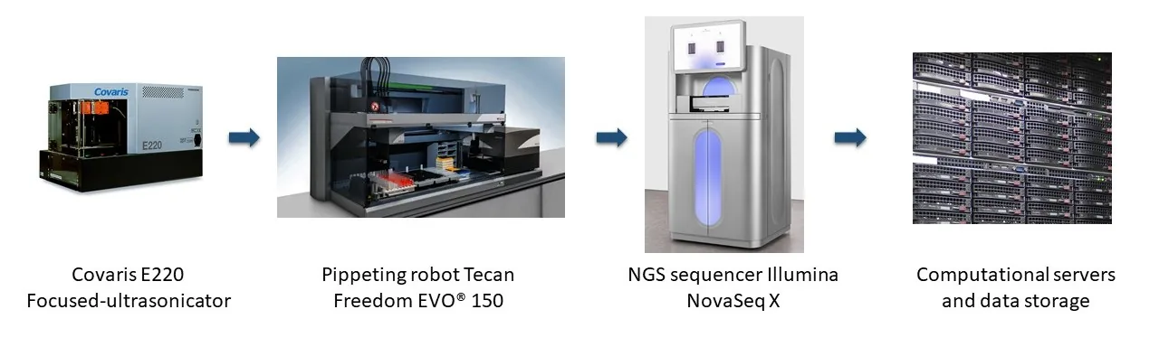 NGS workflow