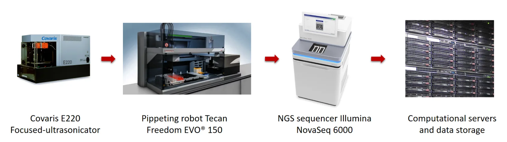 NGS_workflow_EN